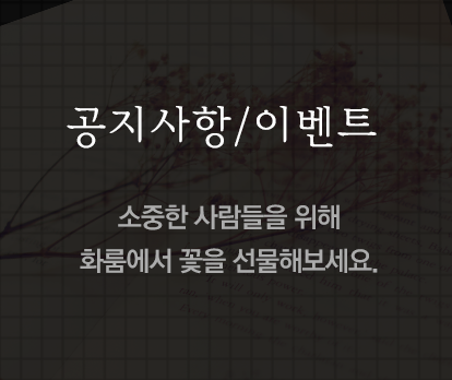 공지사항/이벤트